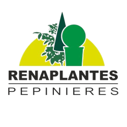 Logo du site web